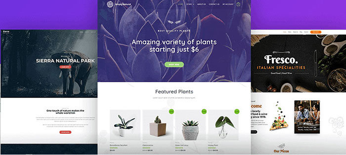 아스트라 테마 대안