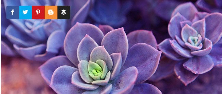 社交媒體wordpress插件