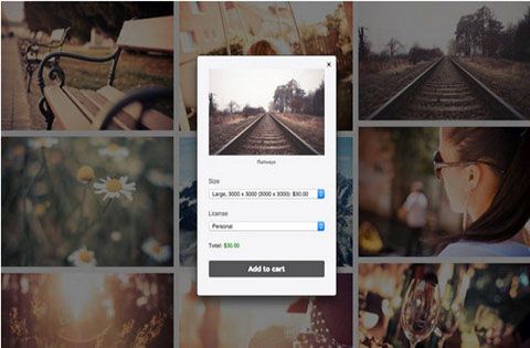 販売-写真-比較