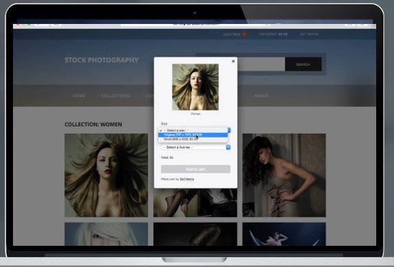 メディアワードプレスプラグインレビューを販売する