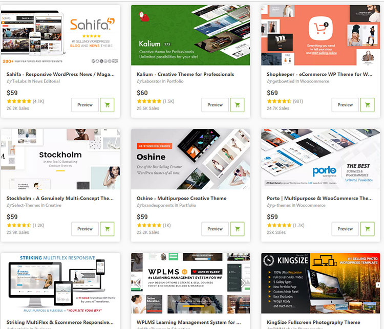 modèles wordpress themeforest