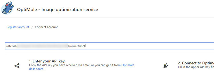 chave de API de plano livre optimole