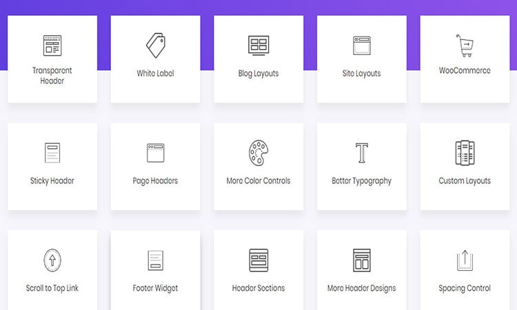 アストラテーマの特徴