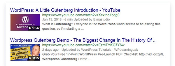ปลั๊กอินสคีมาวิดีโอ wordpress