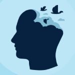 Código de cupón de descuento WP Migrate DB Pro.