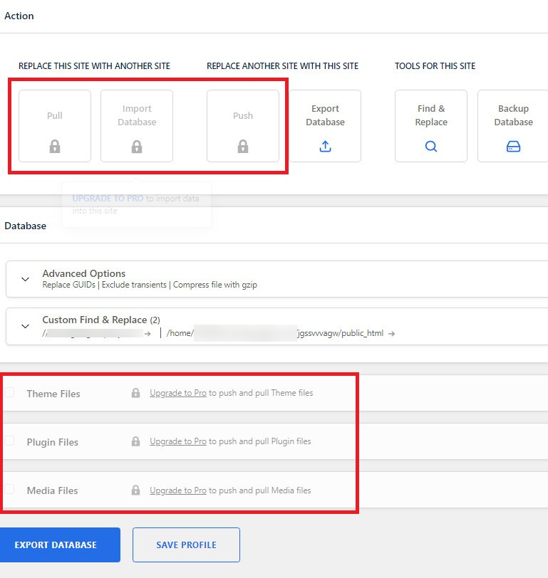WP Migrate DB free frente a WP Migrate DB Pro.