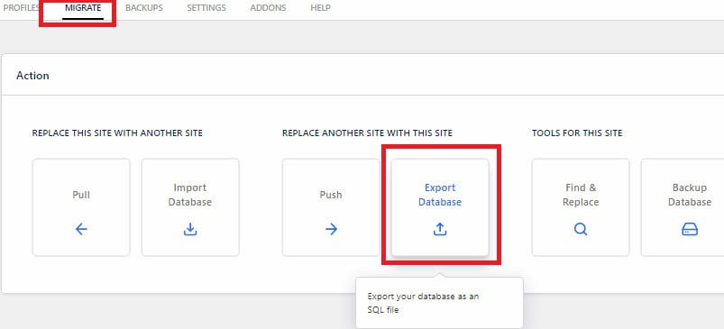 WP Migrate DB ¿cómo exportar la base de datos?