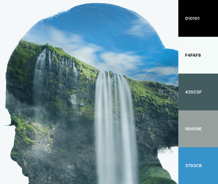 tavolozza dei colori klm