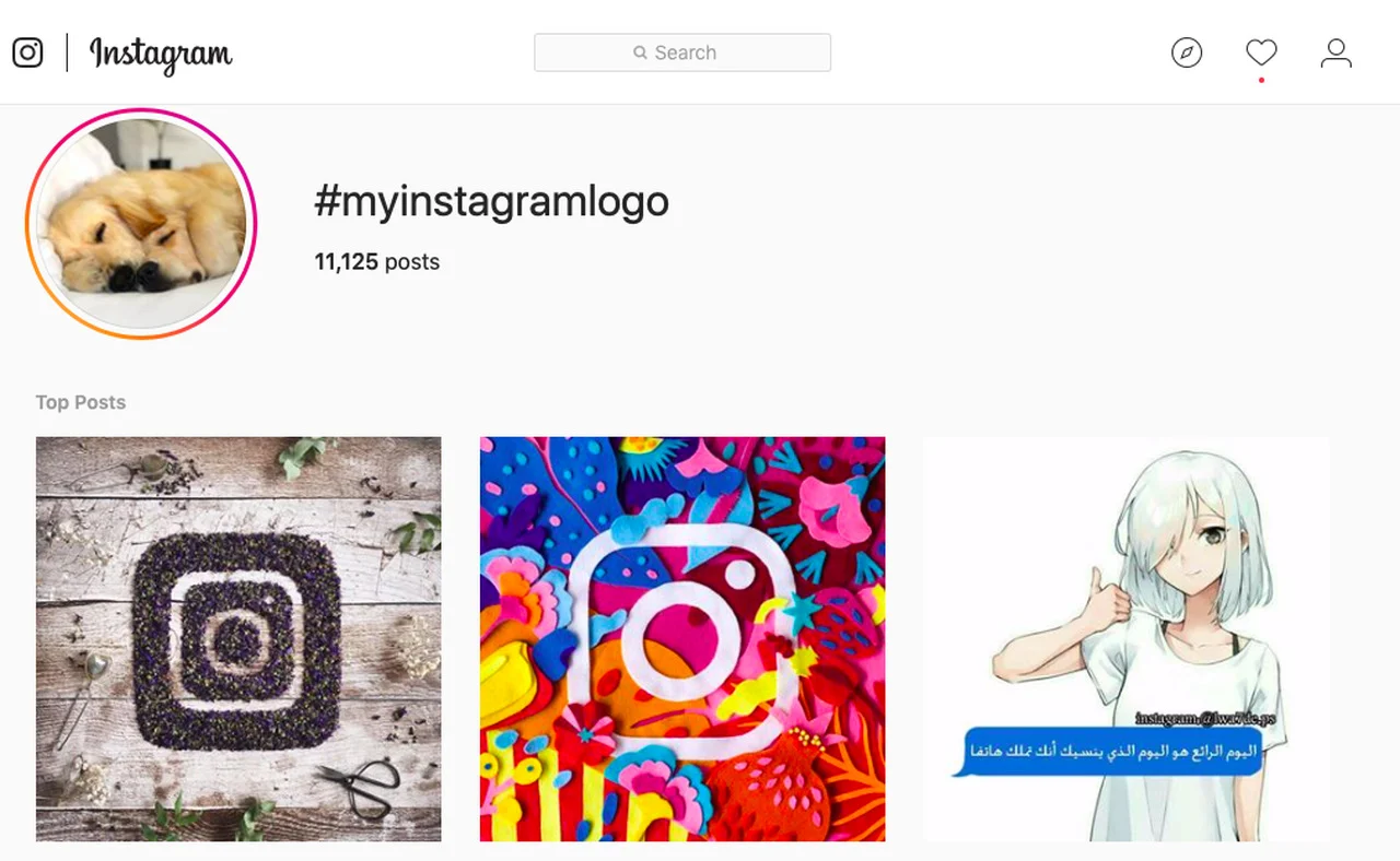 소셜 미디어 캠페인에서 성공한 성공적인 브랜드.