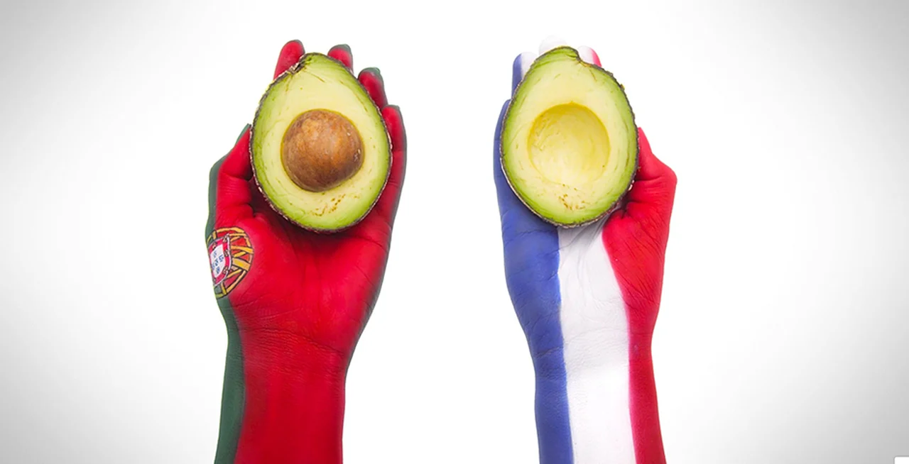 Avoracle 소셜 미디어 캠페인.