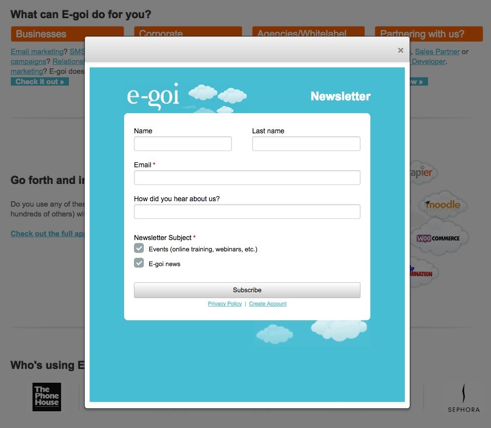 この写真は、E-Goiのウェブサイトからリンクされているニュースレターのクリック後のランディングページを示しています。