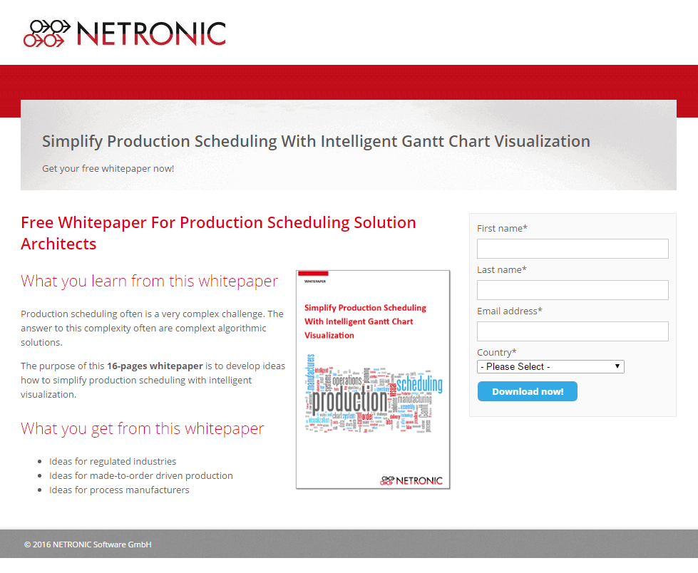 Dieses Bild zeigt Marketern, wie Netronic eine Whitepaper-Post-Click-Landingpage verwendet, um Leads zu generieren.