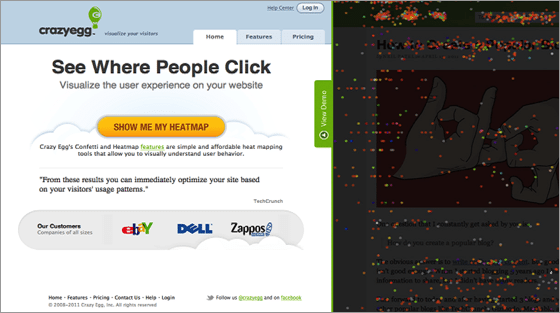 tendencyjność poznawcza przekleństwo wiedzy