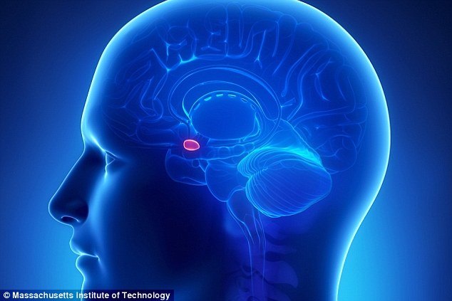 有機與付費搜索樂趣中心