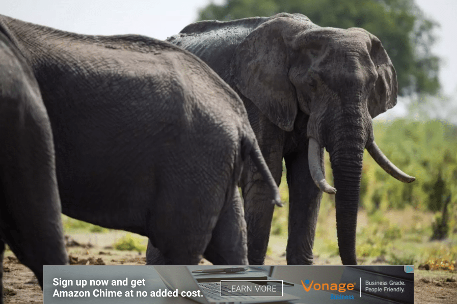 publicité in-image Amazon