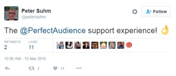 パーフェクトオーディエンスカスタマーサポートの賞賛