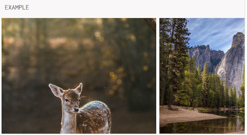 Google AMP 设计轮播