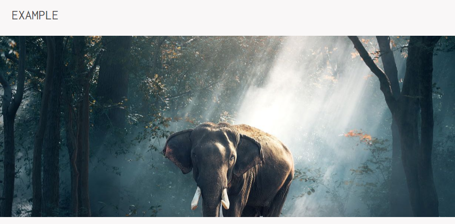 谷歌AMP设计视差