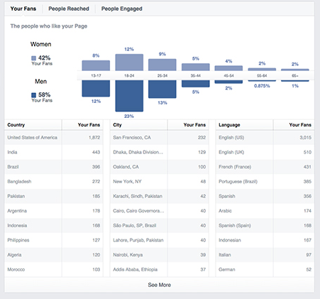 Facebook Insights 吸引了人们