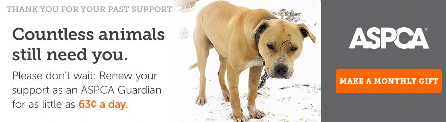 segmentare psihografică anunț grafic ASPCA