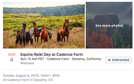 Exemple d'expérience d'annonces Facebook Event Response