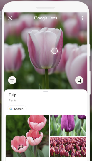 tendințele de marketing Google Lens