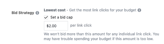 Les publicités Facebook ne livrent pas d'enchère basse