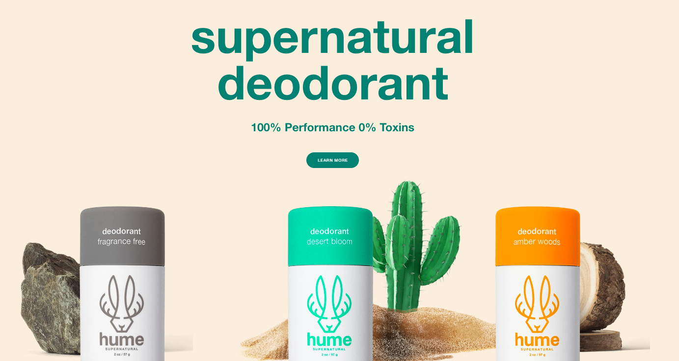 Exemplo de página de destino Hume