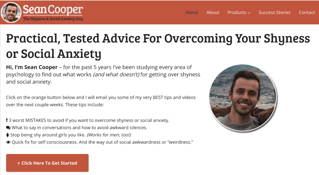 内気と社会不安システム