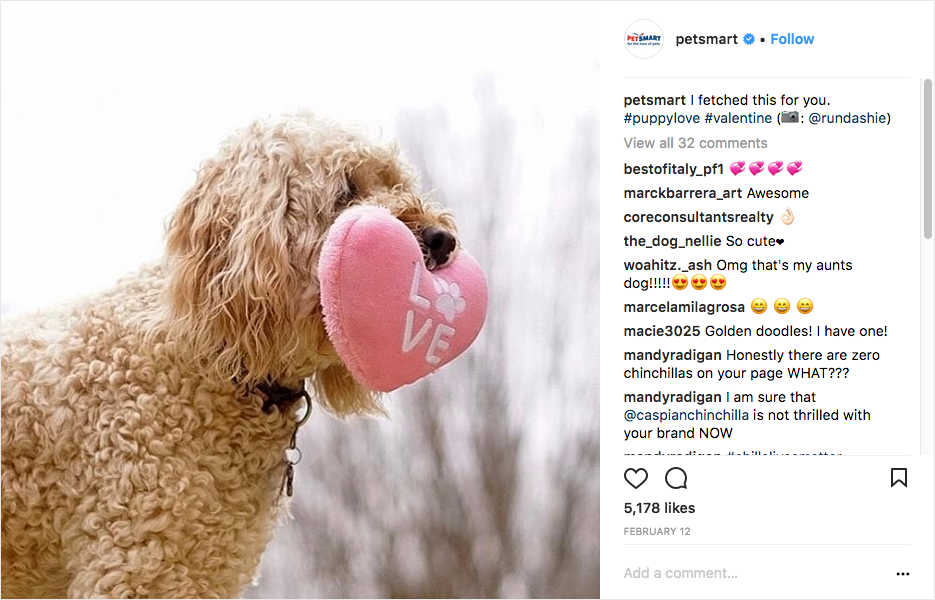Una volta che PetSmart ha ottenuto l'autorizzazione dall'utente, ripubblica la foto con una nuova didascalia e attribuisce credito fotografico al poster originale.