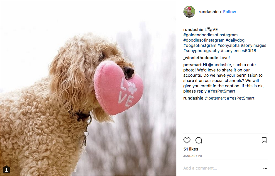 PetSmart esamina una varietà di hashtag relativi agli animali domestici alla ricerca di immagini e chiede il permesso di utilizzare le immagini sui propri canali social.