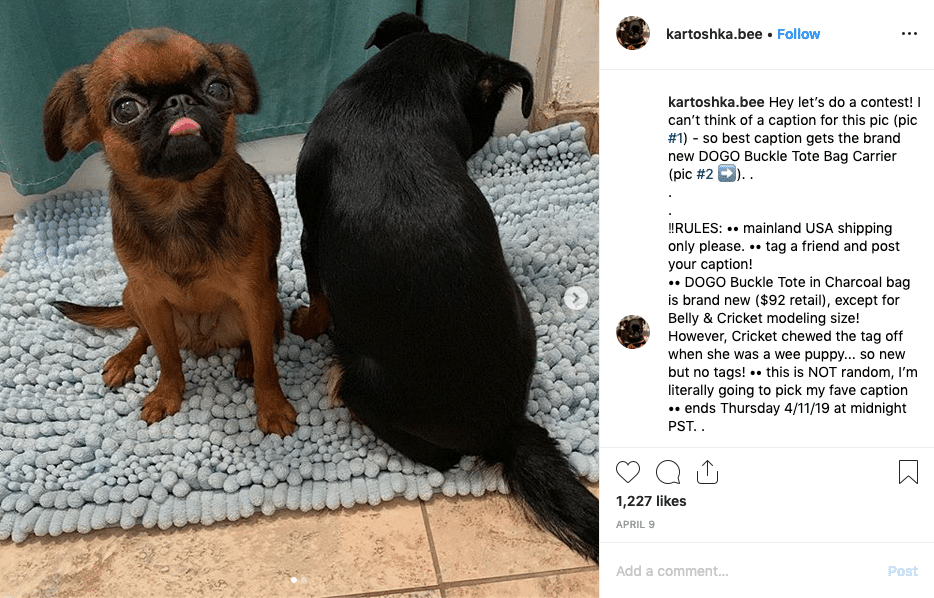 concours de légende