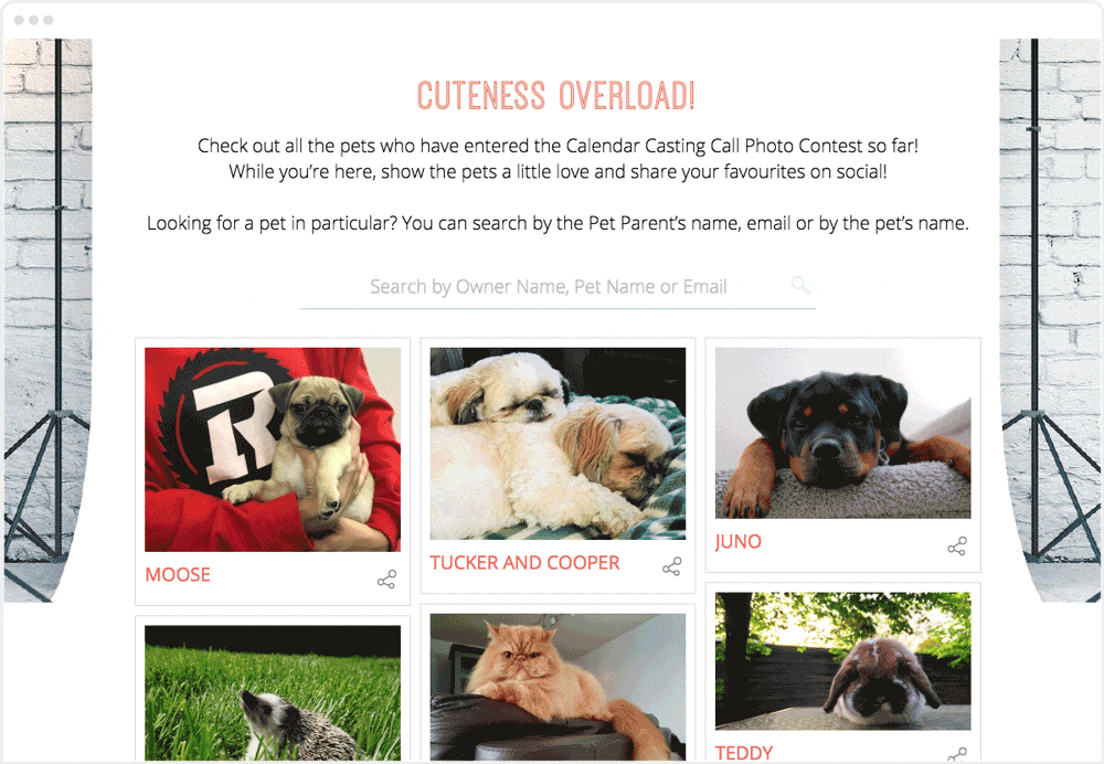 คุณสมบัติ ShortStack: วิดเจ็ตการค้นหา