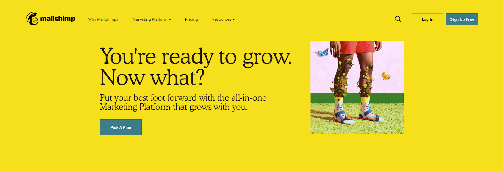 Perangkat lunak penghasil prospek B2b seperti mailchimp adalah salah satu OG pemasaran email