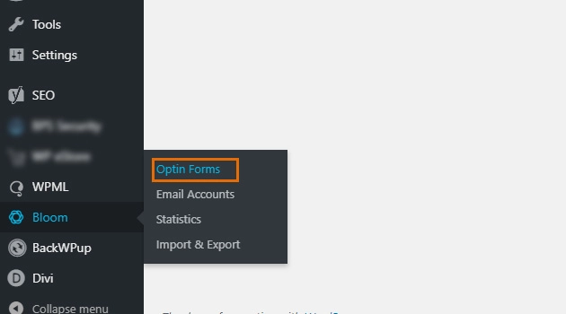 Bentuk mekar / optin Bloom/ optin forms