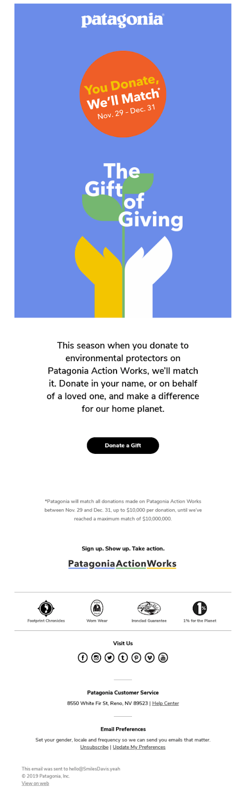 パタゴニアからのキャンペーンの実施