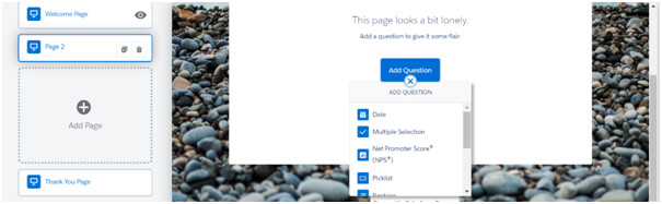 Définir le nom de la page sur NPS