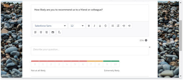 Définir le nom de la page sur NPS