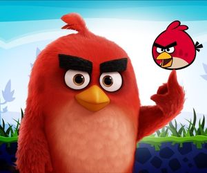 앵그리 버드