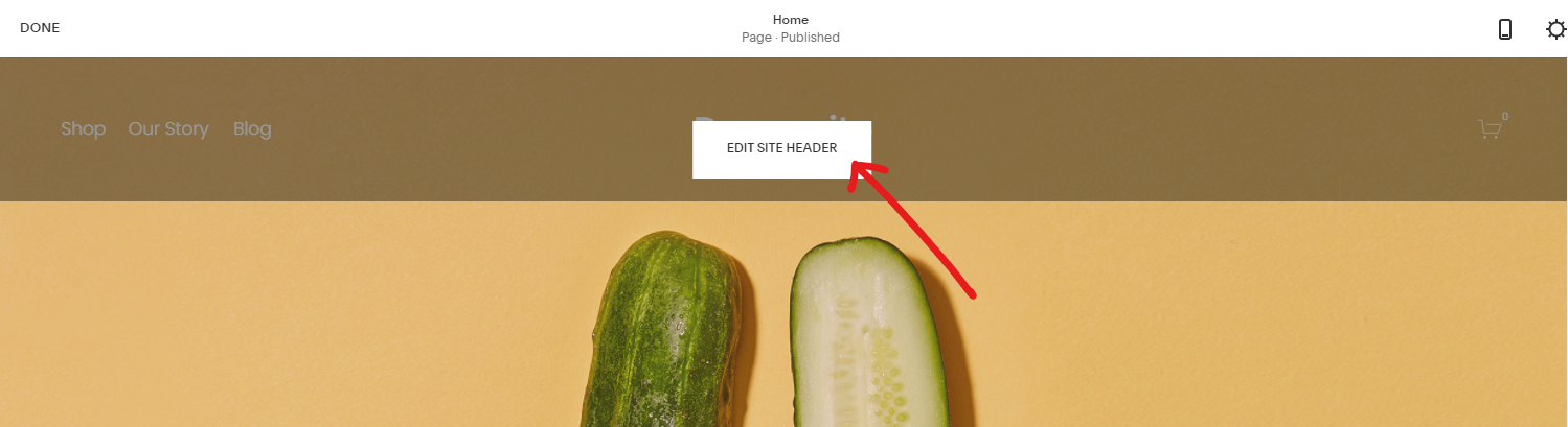 Comment créer un site de commerce électronique avec Squarespace en 10 minutes 4 Edit Site Header