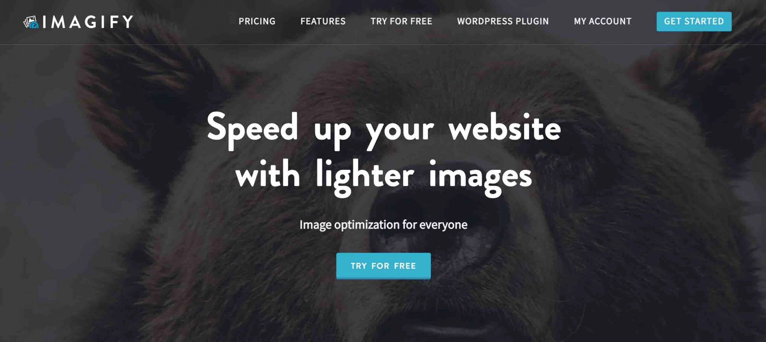 Beste WordPress-Bildkomprimierungs-Plugins (kostenlos und kostenpflichtig) 3 Imagify image compression plugin