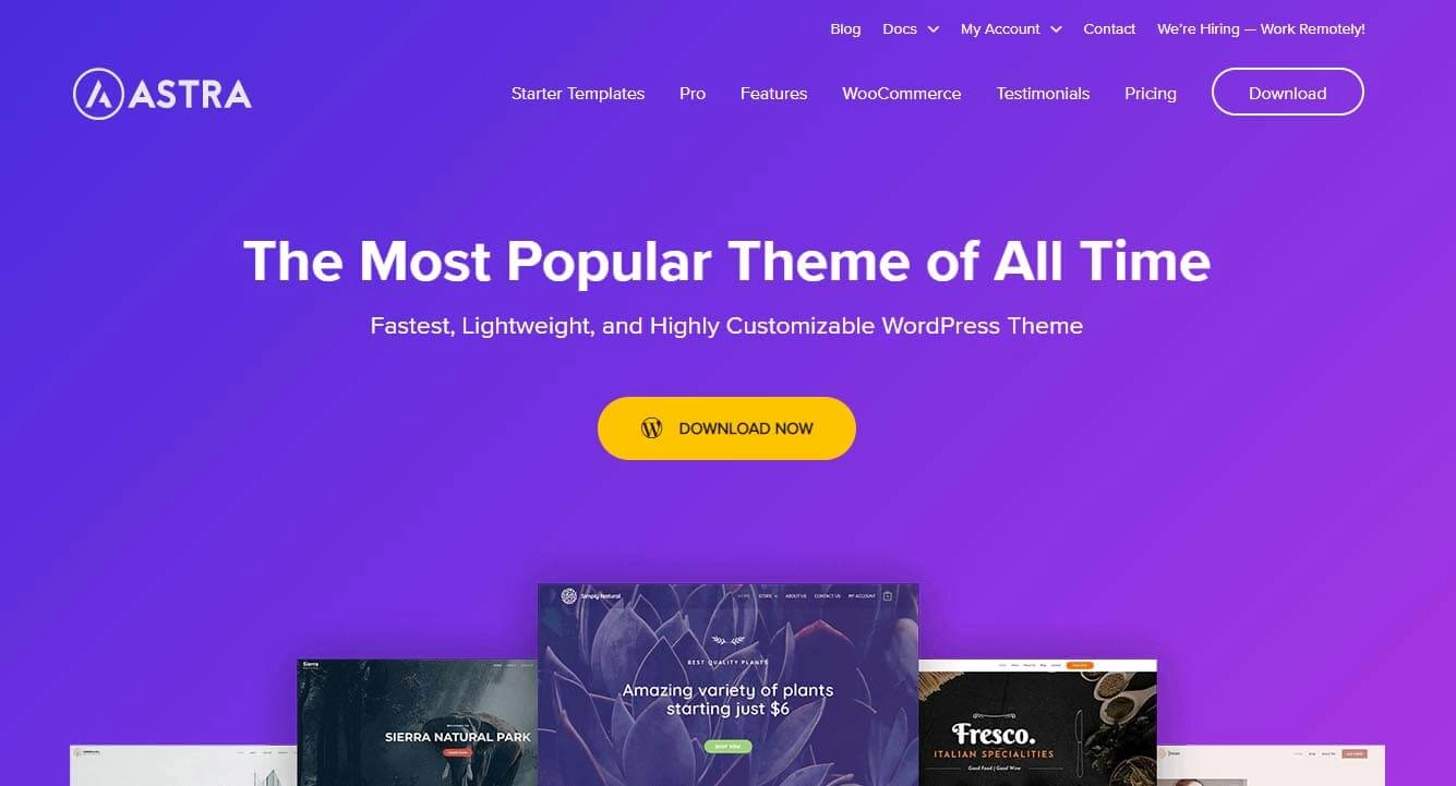 ธีม WordPress ที่ดีที่สุดสำหรับการขาย EBooks ในปี 2022 1 Astra WordPress Theme for selling ebooks