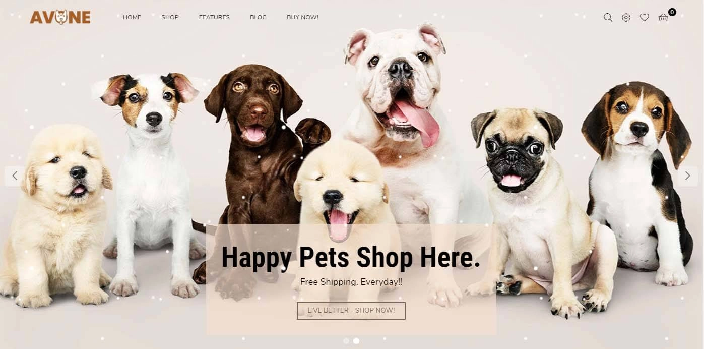 Avone Shopify conversion friendly Theme