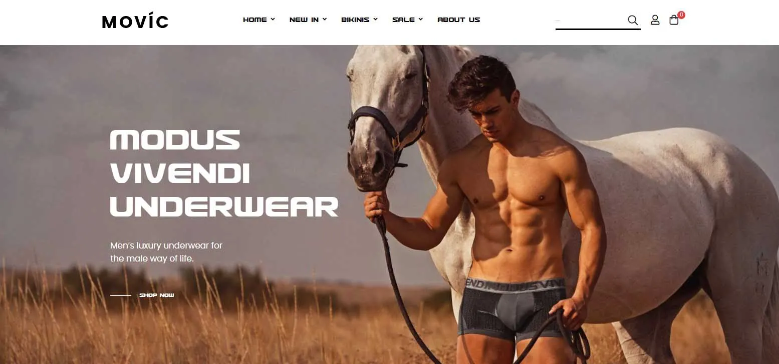 Movic Prestashop Theme