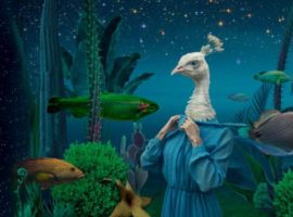 カスタム分析アプリケーション