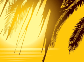 Immagine con un sole e palme, che rappresentano il motivo per cui un'esperienza positiva dei dipendenti aiuta a guidare il successo di un'azienda, sia dal punto di vista finanziario che sociale.