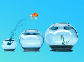 다음은 오늘날의 B2B 구매자의 요구 사항을 충족하기 위해 상거래 모델을 전환할 때 기업이 직면하는 주요 B2B 전자 상거래 문제입니다.