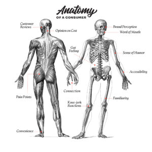 Inspiré de Gray's Anatomy, ce dessin au trait noir et blanc de la forme humaine est étiqueté avec des éléments tels que "Gut check" et "Knee Jerk Reaction", pour illustrer les parties d'un consommateur.