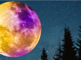 聚會後的空白畫布