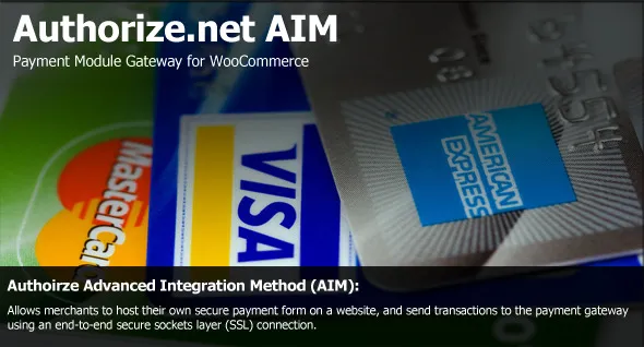 Authorize.net Authorize.net Payment Extension